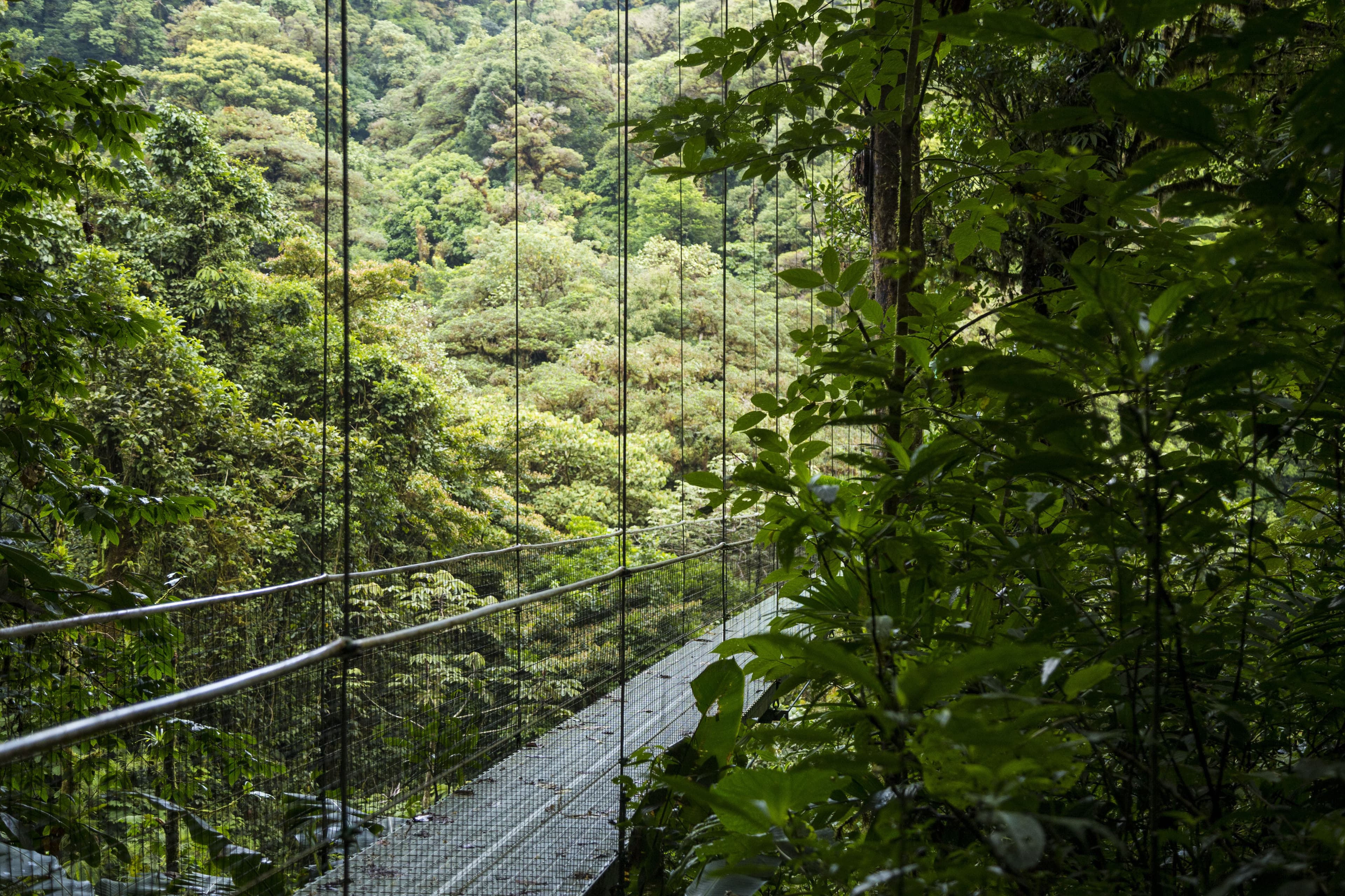 Guanacaste, Costa Rica