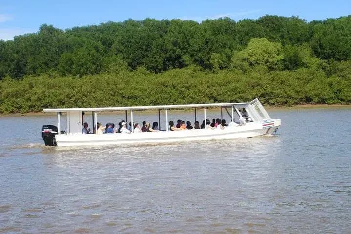Palo Verde Boat Tour & Lunch – Cipancí tour